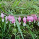 비봉내마을 이미지