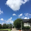 청수리오즈네 이미지