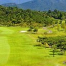 주식회사 골프존카운티 이미지