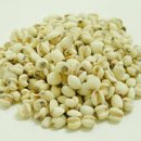 늘푸른 피부 이미지