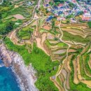 (주)유로해외여행 이미지