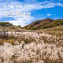 ＜＜가을산행《포천 명성산 소문난 억새군락지》자차산행 (총 인원4명) 초보등산트레킹＞＞2030산악회 1박2일따라하기 이미지