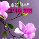 대성의료기상사 Daum카페