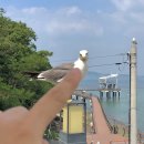 남매목장 이미지