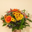 정겨운 마을 이미지