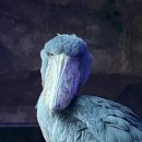 서마루농장 이미지