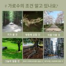 나도 시민과학자 - 대구 도시생태 바로 알기 이미지