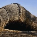 까치구멍집 이미지