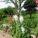 낙동강변로 이미지