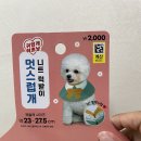 멋스럽개 이미지