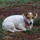 원민농장 이미지