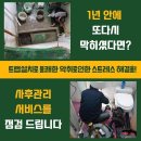 동막동(1) 이미지