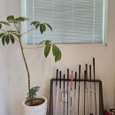 대하실내골프연습장 이미지