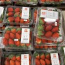 6963 | 이마트 장보기 할인 정보 계란 과일 특가 화장지 장보기 리스트 공개