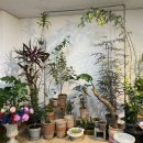 황새울로18번길 이미지