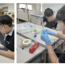 부산대신중학교 이미지