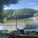 그린좌대낚시터 이미지