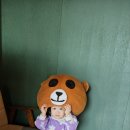 테디베어 이미지