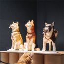 현대애견사료 이미지