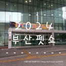 (주)베러펫 | 2024 부산펫쇼 방문후기 (주차 정보, 부스배치도, 이벤트 정보, 가격 정보, 꿀팁, 2일연속방문)