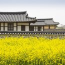 컬러풀 세계여행 이미지