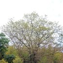 덕림서원 이미지