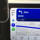 주정차62 | 말차버터쫀득 호두과자 오픈런 내돈내산 솔직후기