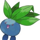 로로포레 이미지