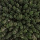 무진과학 이미지