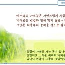 일일예화말씀묵상 2024년 5월 27일 (월) - 주님의 선에 대한 순종 이미지