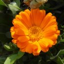 서망항2 이미지