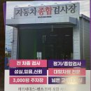 티에스검사