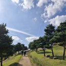 임학공원 출렁다리 | 계양산 : 임학공원 ~ 출렁다리 ~ 계양산성 ~ 정상 ~ 징매이고개 (25.10.25)