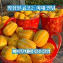 큰장네거리(경북약국 앞) | 화장실 공포는 이제 안녕 마이달데이 성주참외로 되찾은 직장인의 아침
