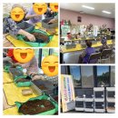 미륵산늘품치유농장 | 농촌진흥청 한국농업기술진흥원 신체재활치유농업프로그램 개발이전 활용 기술보급 현장적용 실증사업...