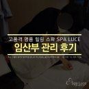 스파루체 이미지