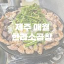 애월소랑 | [제주 애월] 애월 하귀 맛집 한라소곱창 내돈내산 후기