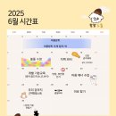 밤밤 애견유치원 이미지