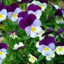 대우마을회관 이미지