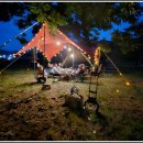 동호솔숲 이미지