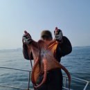 정인초밥 - 남양주시 해밀예당1로 50-88 | 정인초밥