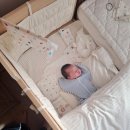 종가8길 | 울산 중구 육아종합지원센터 아기침대 대여 장단점 후기