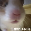 지강 네이버블로그