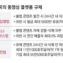 247미디어