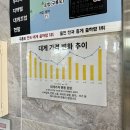 포항 구룡포 대게 맛집 ‘대게총판 도소매’ 내돈내산 솔직후기