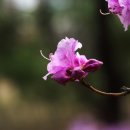 컴퓨터 기초반 이미지