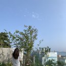 지이스트냉동 이미지