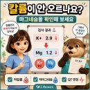 칼륨 수치가 안 오를 때, 마그네슘을 확인해야 하는 이유 이미지