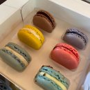 먼데이투선데이24 이미지