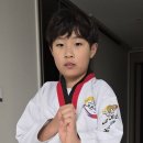 라이온태권도체육관 이미지